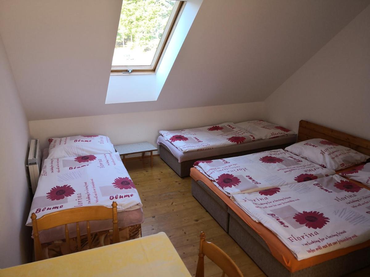 Ubytování u Máchova jezera - Apartmány - Ludmila Grulišová Doksy  Exteriér fotografie