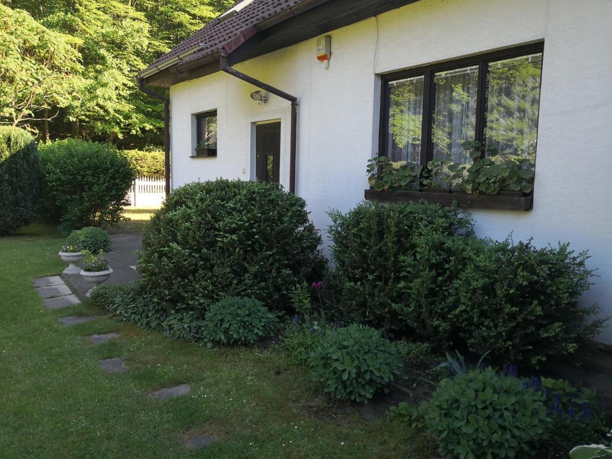 Ubytování u Máchova jezera - Apartmány - Ludmila Grulišová Doksy  Exteriér fotografie